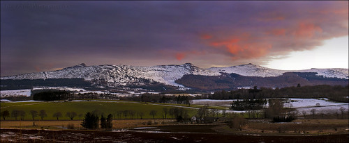trees sunset snow scotland aberdeenshire hills moorland bennachie mithertap oxencraig craigshanock