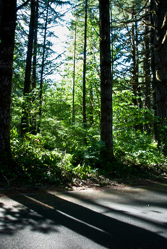 light shadow forest woods nikon roadtrip forests 2010 d80 hwy34 alseariverhighway missouribend