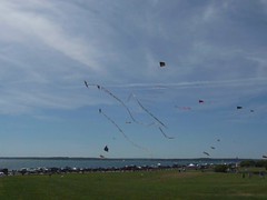 Kite flying at Breton Point State Park