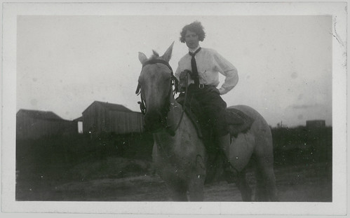 woman, jodhpurs, horse