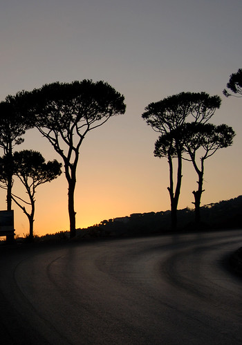 road trees sunset mountain silhouette curve