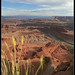 Dead Horse Point - IMG_1254