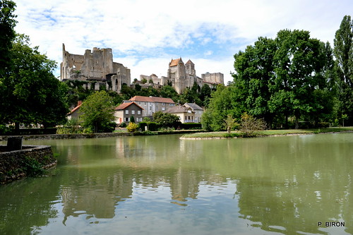 france castle 86 château vienne burg poitou chauvigny