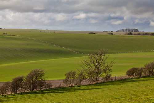 trees winter england green fence sussex fields february aftertherain eastsussex rolling southdowns ditchlingbeaconroad