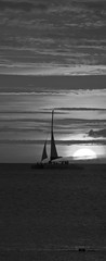 Sailing to sunset (BW)
