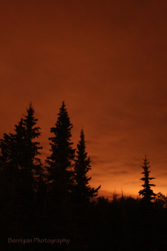trees sky orange nature alaska night outdoors lights solar august aurora northern