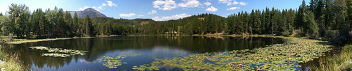 lake reflection water clouds landscape britishcolumbia pano lillypads iphone