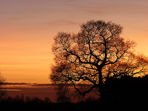 sunset red england sky tree silhouette lumix evening glow sundown derbyshire panasonic derby borrowash fz38 fz35 worldland