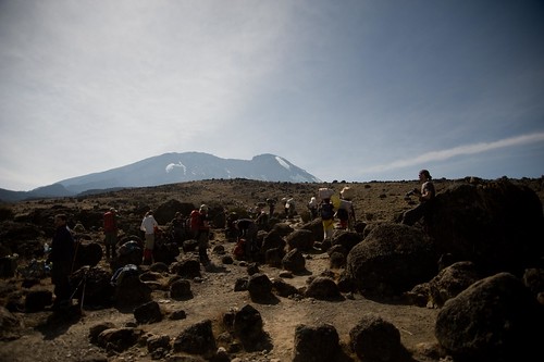 kilimanjaro elementsorganizer