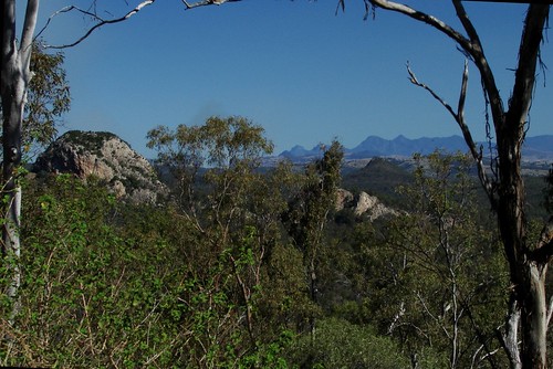 mountains rock forest landscape bush view notes hiking australia lookout qld bushwalk ipswich