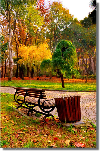 road park wood november autumn red orange brown color tree green fall nature public grass leaves yellow stone rural forest turkey garden bench season golden oak garbage october colorful day alone pattern view path empty bank sunny ground nobody scene istanbul can foliage cobble cobblestone willow silence serene 90 hdr fatih landscpe gulhane topshots the4elements natureplus impressedbeauty photosandcalendar natureandpeople worldwidelandscapes natureselegantshots 100commentgroup panoramafotográfico panoramafotografico saariysqualitypictures greatshotss contacgroup doublyniceshot theoriginalgoldseal mygearandme flickrsportal