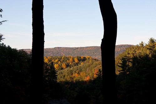 park trees usa fall forest stonybrook gorge newyorkstate westrimtrail stonybrookstatepark