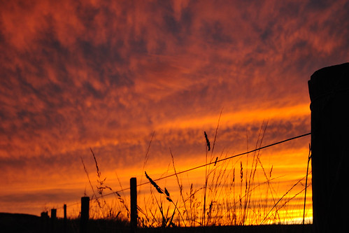 sunset england sky night wire cloudy northumberland beal nikond5000 caledonia09 fencefriday fenchfriday caledoniaalan