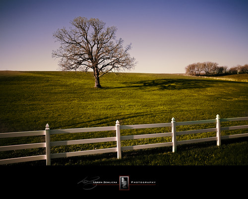 shadow usa white tree green nature field grass wisconsin rural fence landscape outdoors photography one countryside photo spring midwest scenery image horizon may picture wideangle bluesky single land northamerica canonef1740mmf4lusm lonetree lonelytree picket solitarytree wideanglelens fitchburg canoneos5d danecounty lorenzemlicka