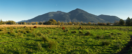 sunset shadow usa moon mountains fall nature colors field animals 35mm iso200 washington october seasons unitedstates cows events noflash moonrise northamerica brightcolors mammals lightandshadow locations 2010 locale sedrowoolley ef1635mmf28liiusm camera:make=canon geo:state=washington exif:make=canon exif:iso_speed=200 exif:focal_length=35mm canoneos7d apertureprioritymode hasmetastyletag naturallocale selfrating4stars 1200secatf80 geo:countrys=usa camera:model=canoneos7d exif:model=canoneos7d exif:lens=ef1635mmf28liiusm subjectdistance∞ geo:lon=122038873 exif:aperture=ƒ80 assortedevents october162010 applepickinginsedrowoolley10162010 geo:city=sedrowoolley sedrowoolleywashingtonusa geo:lat=48532049 48°315538n122°21994w