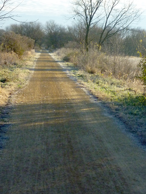 Frosty Trail