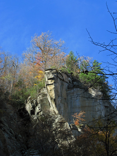 autumn cliff tree fall landscape nc rocks chimneyrock fall2010
