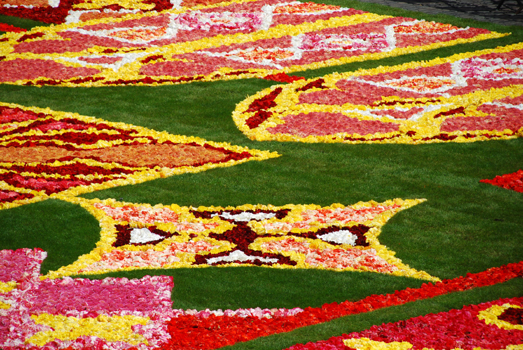Brussels' Flower Carpet