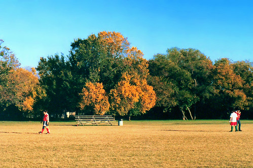 park autumn trees men fall field arlington texas fallcolors fallfoliage 1998 recreation soccerplayers