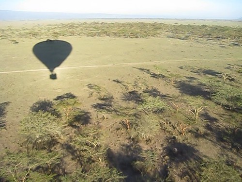 balloon ballooning soysambu fly flight float günter wildlife safari geotagged geo:lat=049077387526495764 geo:lon=36239261627197266 video kenya lakeelementaita vimeo:id=13582122 set:name=200911kenya 0tagged hotairballoon part2of2