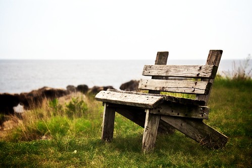 bench aged northpointstatepark edgemere lonelybench