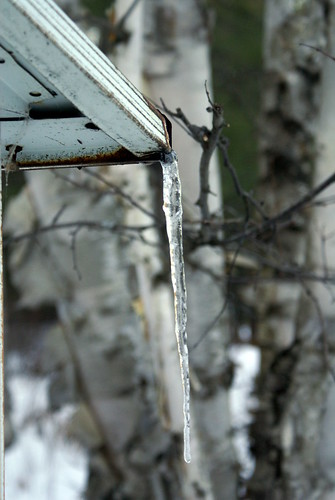 winter icicle february