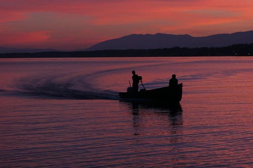 pink sunset lake 20d rose canon eos switzerland boat fishing suisse lac carlo 7020028l bateau leman peche coucherdesoleil perroy chouquet genevalunch tobtob fachini carlofachini