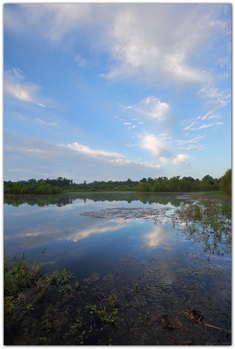 summer reflection nature water clouds landscape pond 10mm canonefs1022mmf3545usm mrgreenjeans gaylon blackwaterconservationarea gaylonkeeling