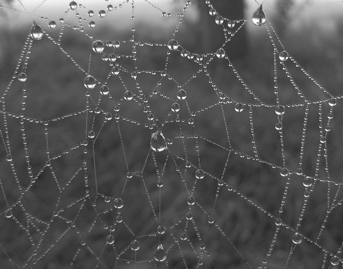 spider web spin pearls cobweb kralen