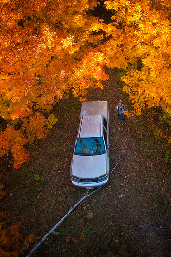 autumn fall minnesota landscape foliage boreal