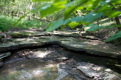 water pool leaves leaf hiking trails hike rockbridgestatepark afsdxvrzoomnikkor18200mmf3556gifed springbrooktrail rockshelves