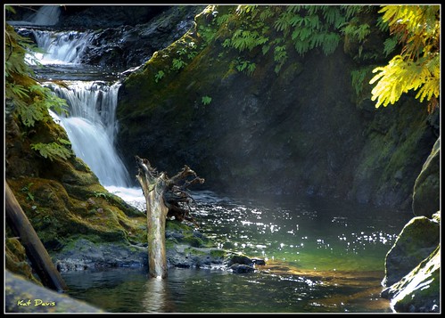 water pool waterfall washington olympicpeninsula driftwood sunbeam picnik quinault quinaultrainforest kathydavis flickrgolfclub katdavis katdavisphotography