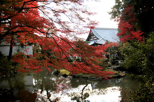 京都 黒谷の紅葉