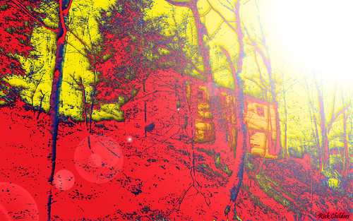blue trees red yellow forest altered woods colorful bright photoshopped digitalart hillside photoshop70 photoshopart vividcolor rcvernors altereduniverse homeonthestrange rickchilders