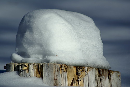 winter snow cottage february choppingblock