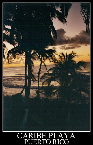 sunset nature outdoors puertorico palmtrees caribbean carribeansea caribeplaya