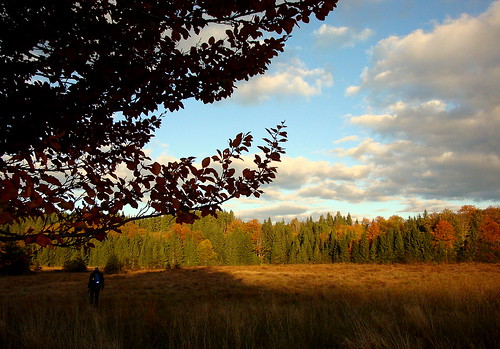 autumn forest hiking transylvania erdély ősz erdő túra izvoare izvora forrásliget