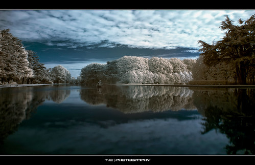 trees lake france cold reflection water ir rouge photography photo cool nikon photographer photographie lac reflet photograph tc infrared 365 nikkor infra photographe 2470mm yvelines infrarouge nohdr d700 tcphotography ph4n70m iph4n70m tcphotographie