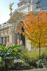Le jardin intérieur du Petit Palais (Paris) - Photo of Romainville