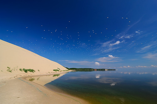 sea summer sky clouds landscape geotagged russia dune balticsea baltic seagul 2010 cranz curonianspit zelenogradsk kaliningradskayaoblast curonianbay nikond300 tokinaaf12244
