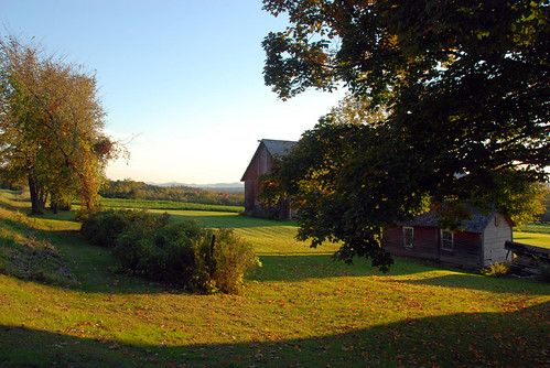 autumn trees light sky green grass landscape vermont farm barns addison