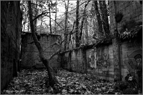 mill arlington washington nikon decay decayed lumber skagitvalley adandoned d90 darington fortsonmill