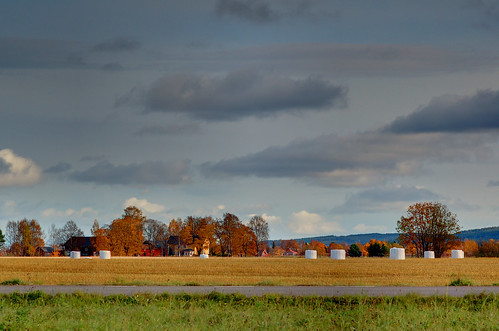 autumn landscape view