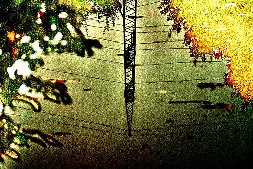 autumn sky lake abstract reflection tree bird water line 2010 ʇɔɐɹʇsqɐ renateeichert resilu