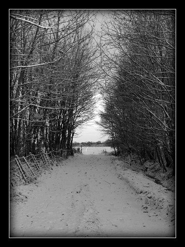 christmas camera trees england sky bw baby snow love me beautiful beauty contrast digital canon walking landscape eos for is nice interesting scenery all photographer northwest you photos like visit shades want explore walker wicked 10d cumbria lane be excellent always serene karma explorers frontpage carlisle mypics myphotos borderline snowscape viewed shading pleasing apperture ohtheweatheroutsideisfrightful explored my i butthefireissodelightful explorethis carlislebiker tomoyzf13 cumbriasbeautifulphotographygroup