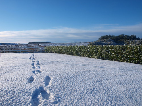 ireland snow co footsteps mayo erris belmullet