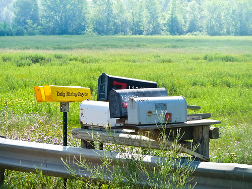 trees field landscape michigan mailboxes upperpeninsula