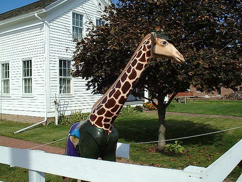 county community dana indiana giraffe vermillion