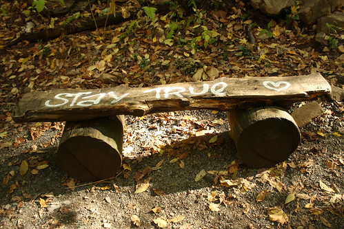 bench connecticut trail hartfordcounty talcottmountainstatepark