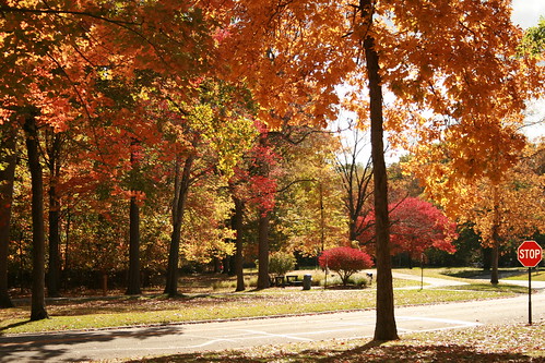 autumn fall cleveland foliage garfield reservation clevelandmetroparks clevelandplus positivelycleveland